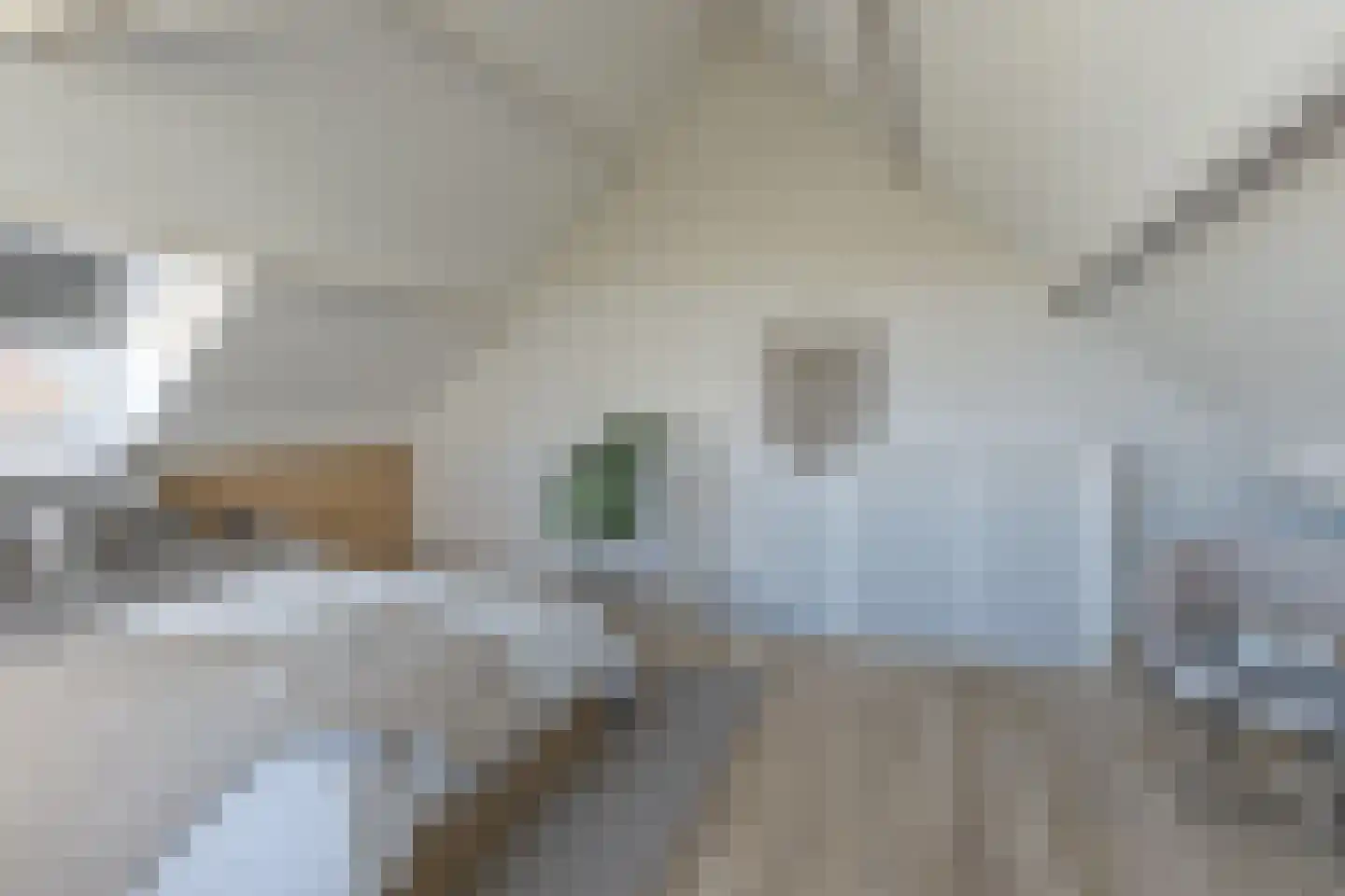 Ardèchelaan 12 Eindhoven thumbnail 24