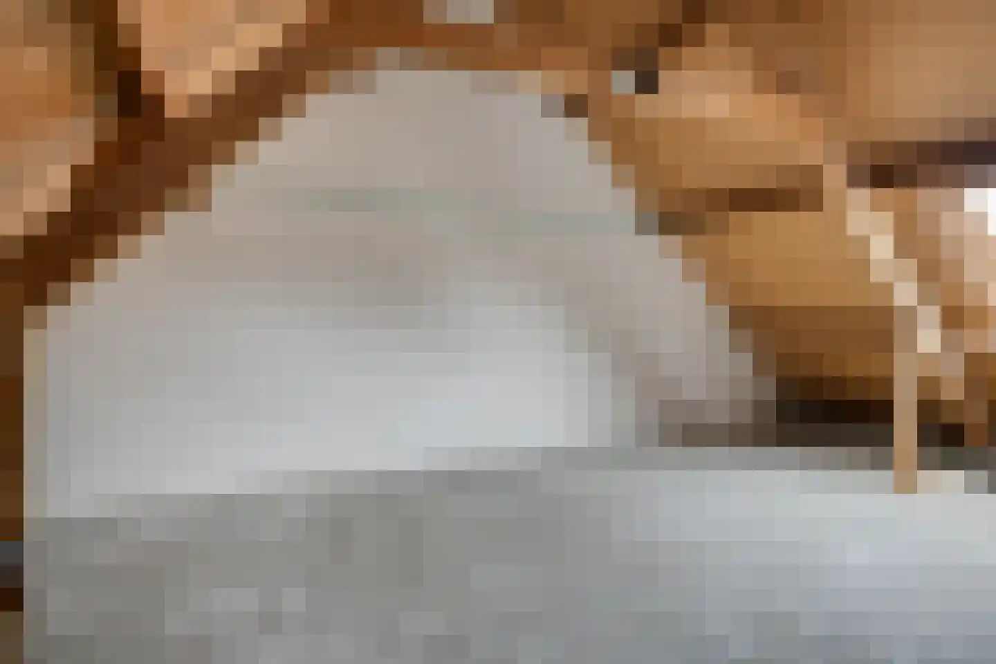 Ardèchelaan 12 Eindhoven thumbnail 25