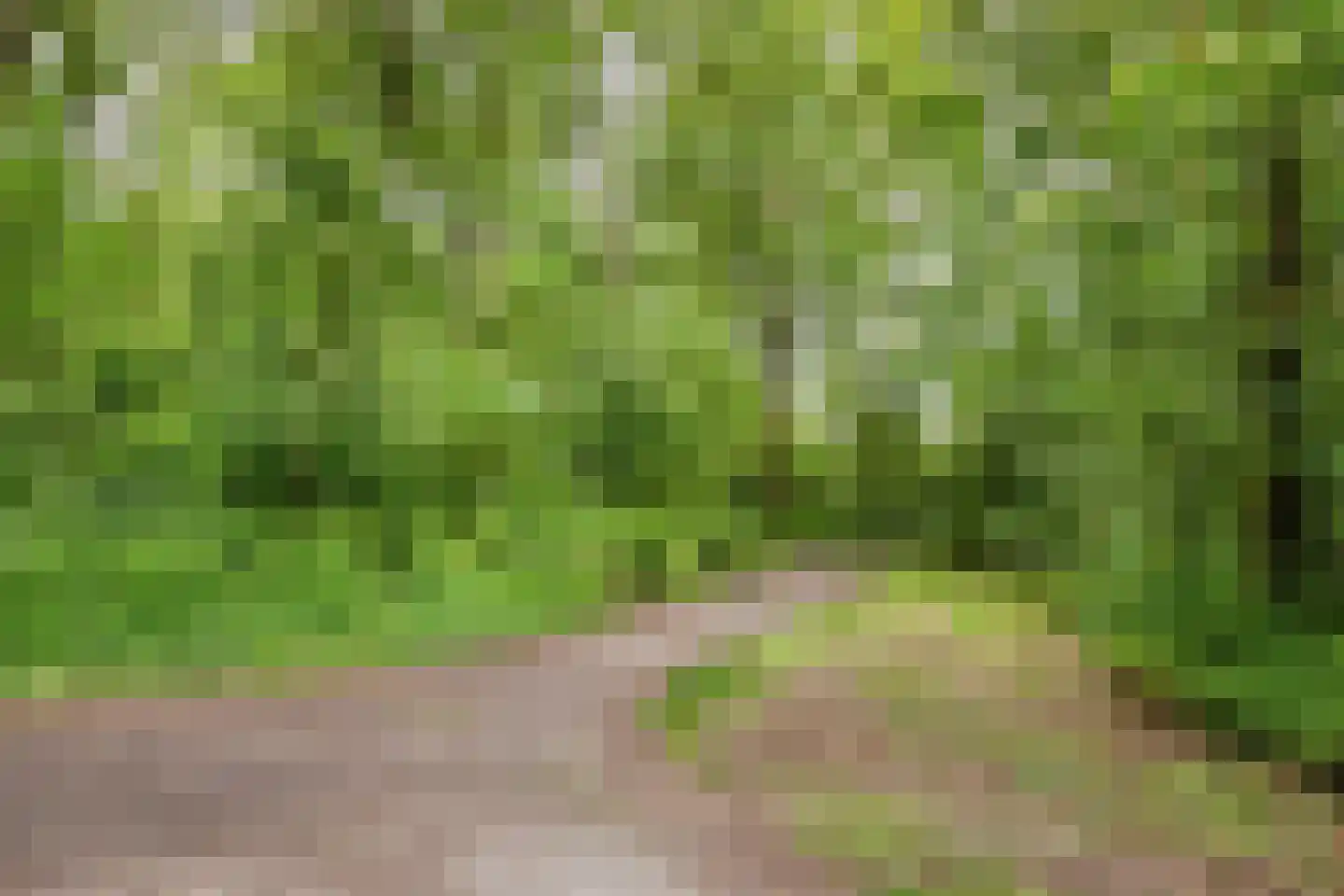 Ardèchelaan 12 Eindhoven thumbnail 31