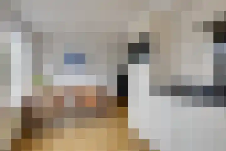 Ardèchelaan 19 Zevenaar thumbnail 21
