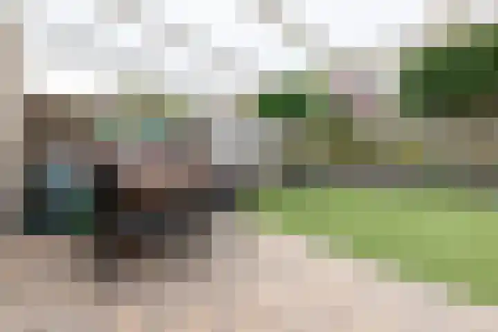Ardèchelaan 19 Zevenaar thumbnail 35