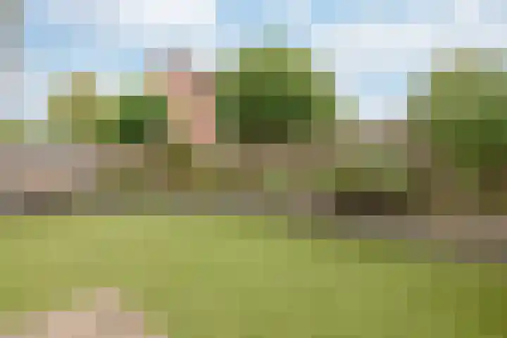 Ardèchelaan 19 Zevenaar thumbnail 39