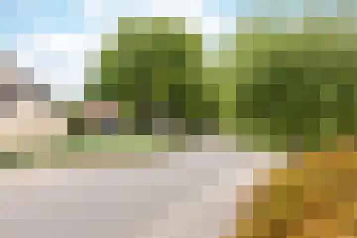 Ardèchelaan 19 Zevenaar thumbnail 9
