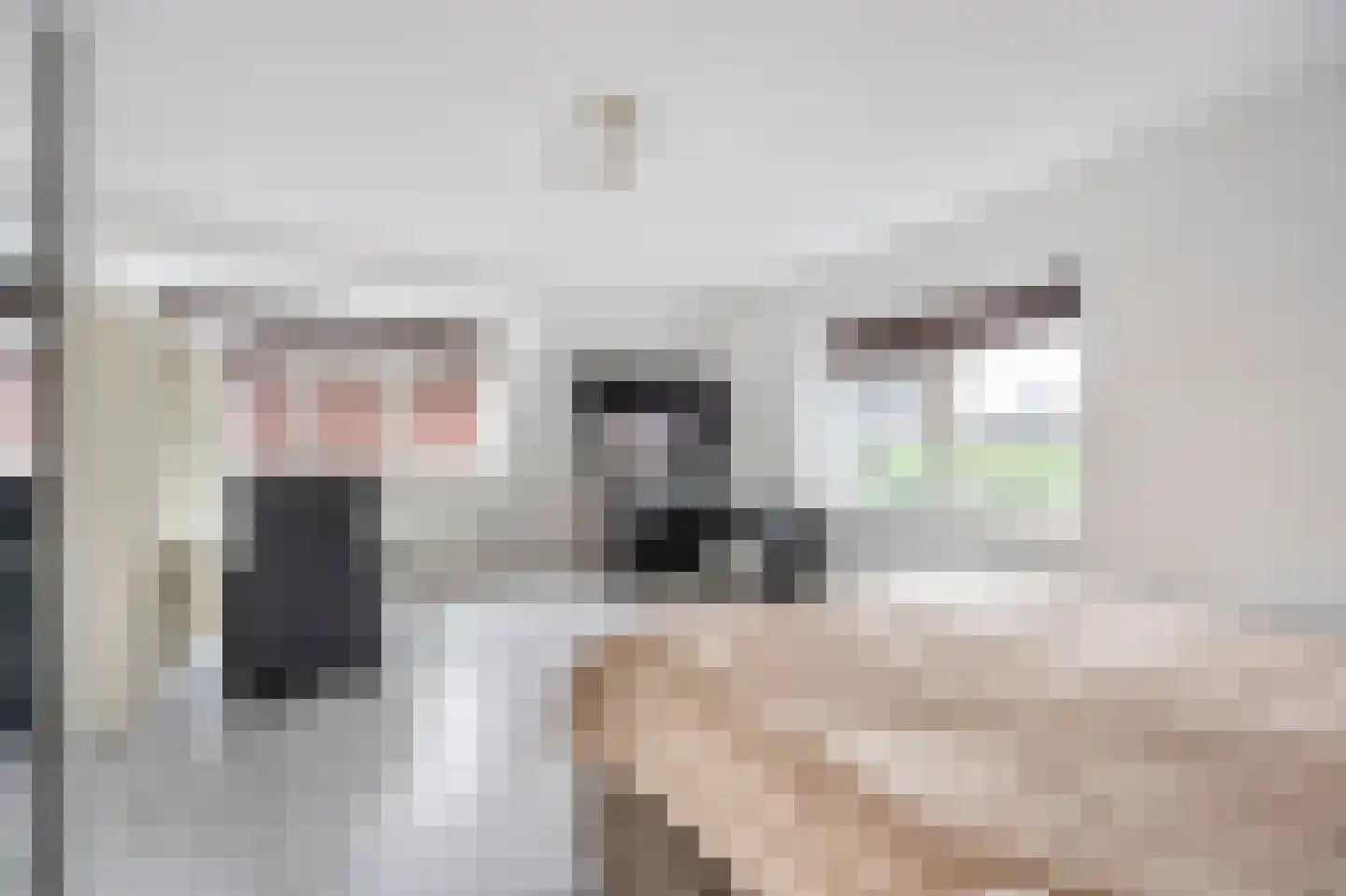 Ardennen 11 Assendelft thumbnail 19