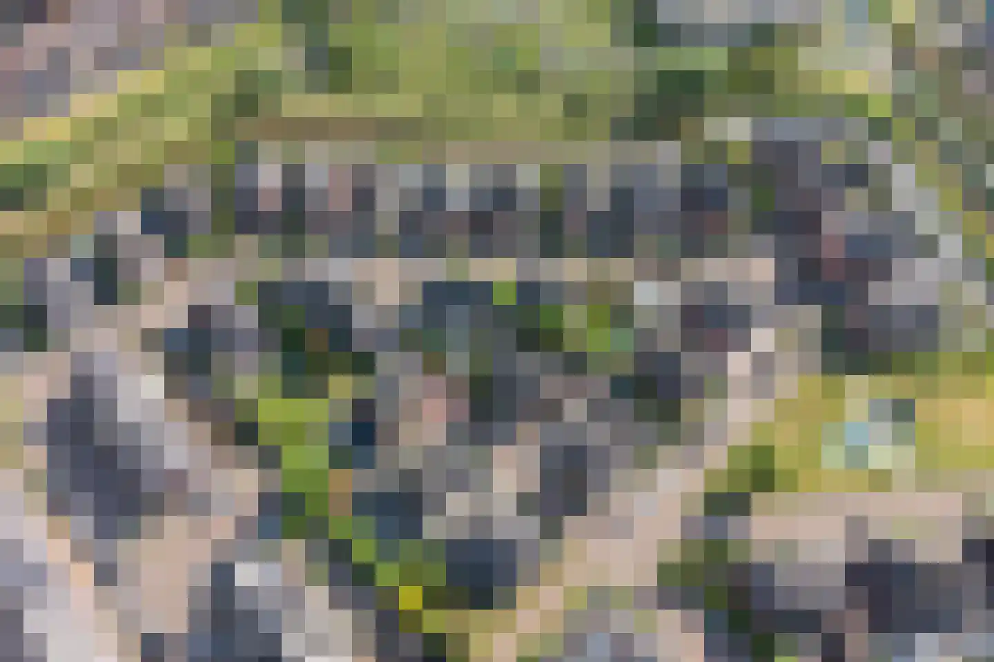 Ardennen 11 Assendelft thumbnail 46