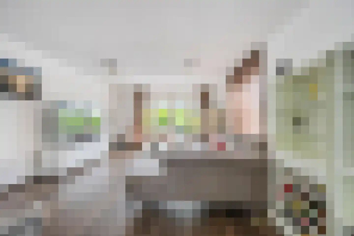 Ardennen 11 Assendelft thumbnail 7
