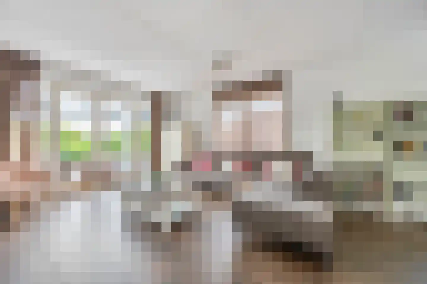Ardennen 11 Assendelft thumbnail 8