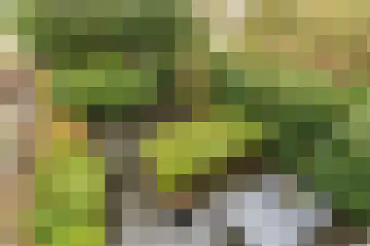 Ardennen 2 Leusden thumbnail 25