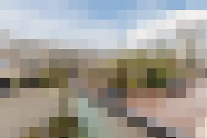 Ardennen 2 Leusden thumbnail 31