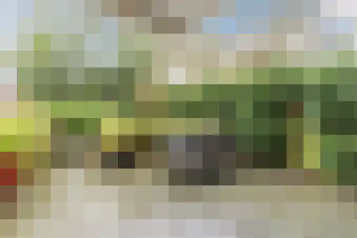 Ardennen 2 Leusden thumbnail 46
