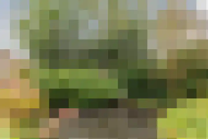 Ardennen 2 Leusden thumbnail 48