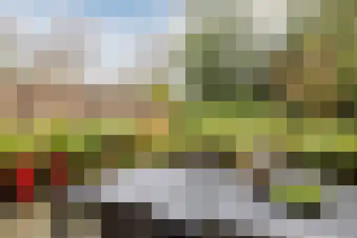 Ardennen 2 Leusden thumbnail 49