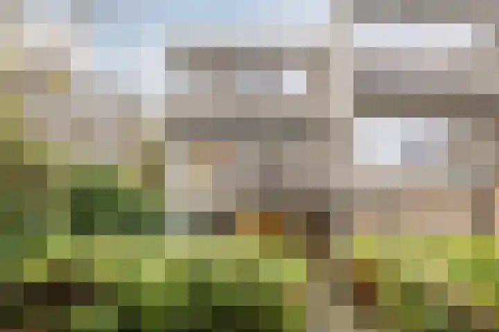 Ardennen 2 Leusden thumbnail 50