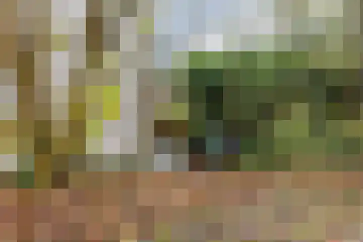 Ardennen 2 Leusden thumbnail 52