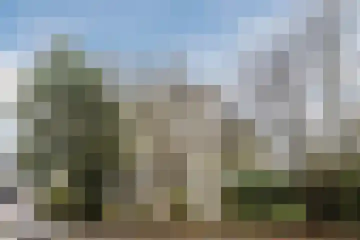 Ardennen 2 Leusden thumbnail 53