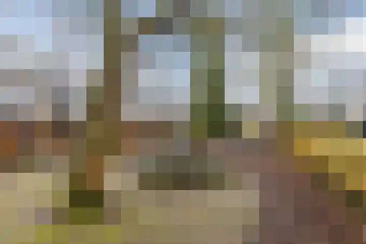 Ardennen 2 Leusden thumbnail 55