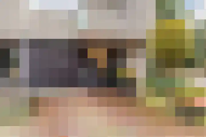 Ardennen 2 Leusden thumbnail 6