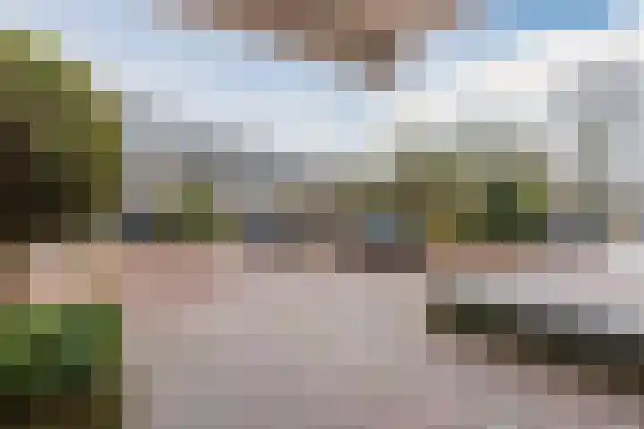 Ardennen 2 Leusden thumbnail 8
