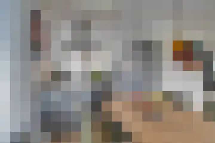 Ardennen 20 Purmerend thumbnail 13