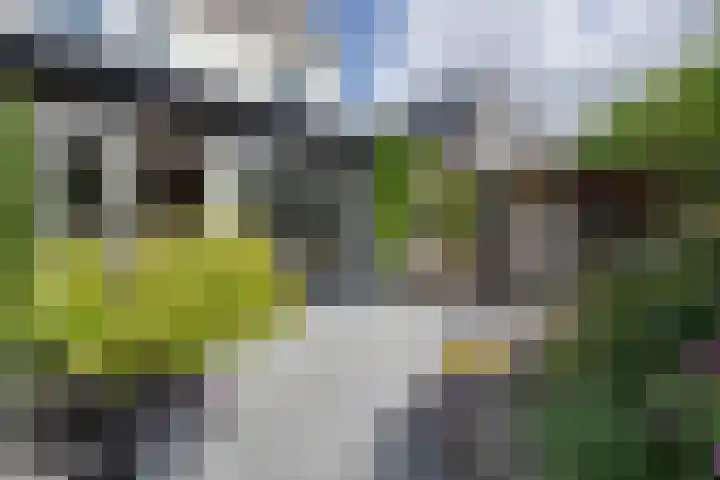 Ardennen 20 Purmerend thumbnail 18
