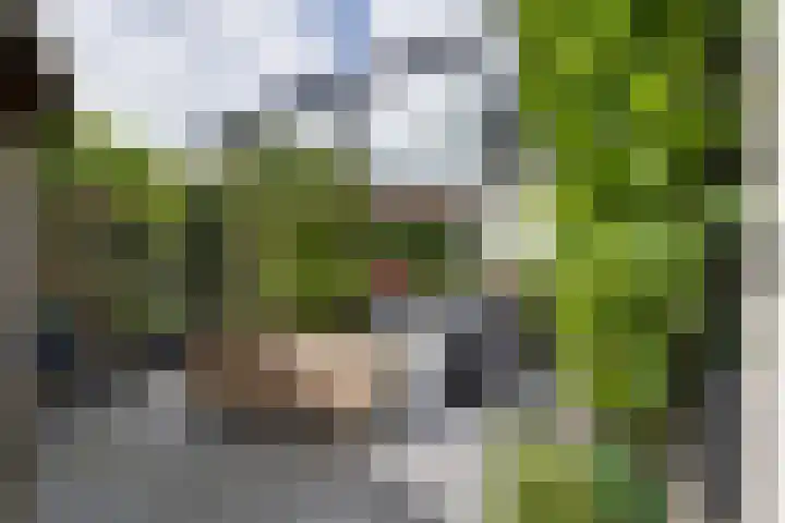 Ardennen 20 Purmerend thumbnail 19