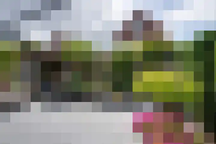Ardennen 20 Purmerend thumbnail 21