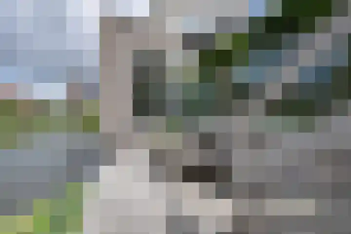 Ardennen 20 Purmerend thumbnail 24