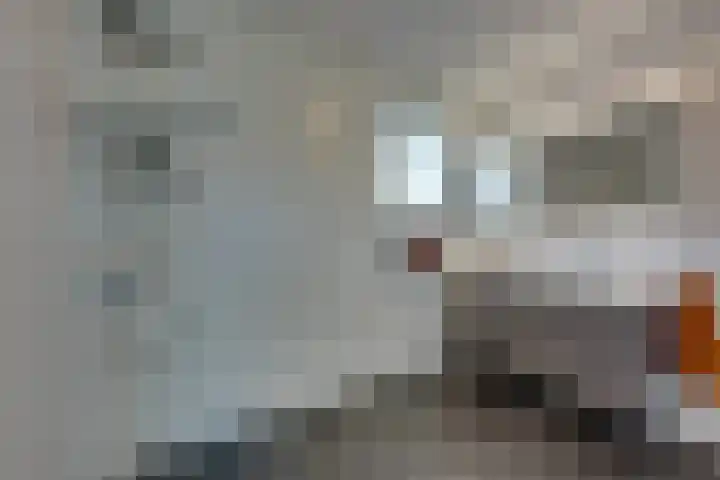 Ardennen 20 Purmerend thumbnail 37