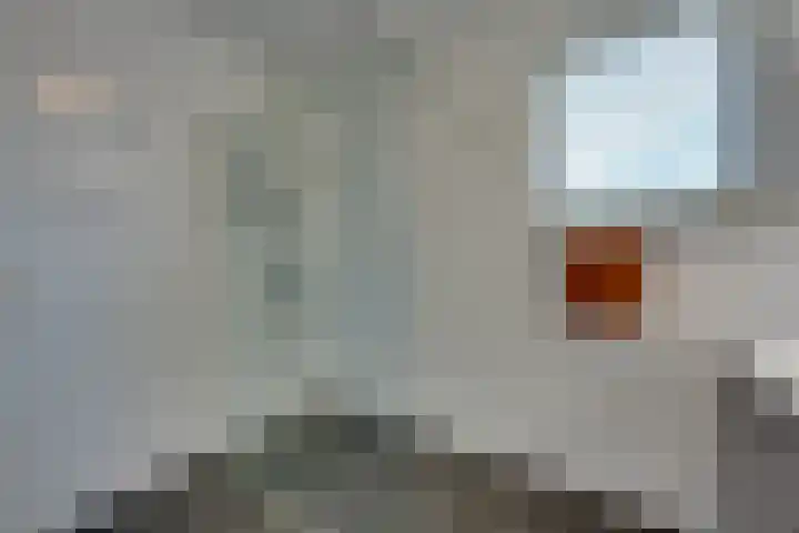 Ardennen 20 Purmerend thumbnail 39