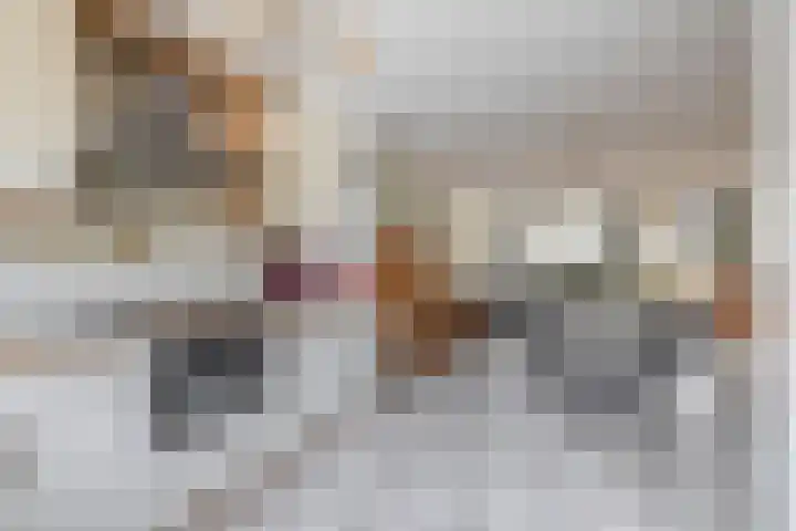 Ardennen 29 Utrecht thumbnail 21