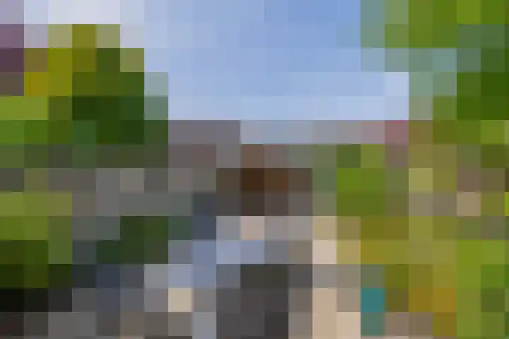 Ardennen 29 Utrecht thumbnail 22