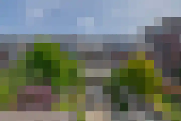 Ardennen 29 Utrecht thumbnail 26