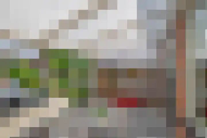 Ardennen 29 Utrecht thumbnail 28