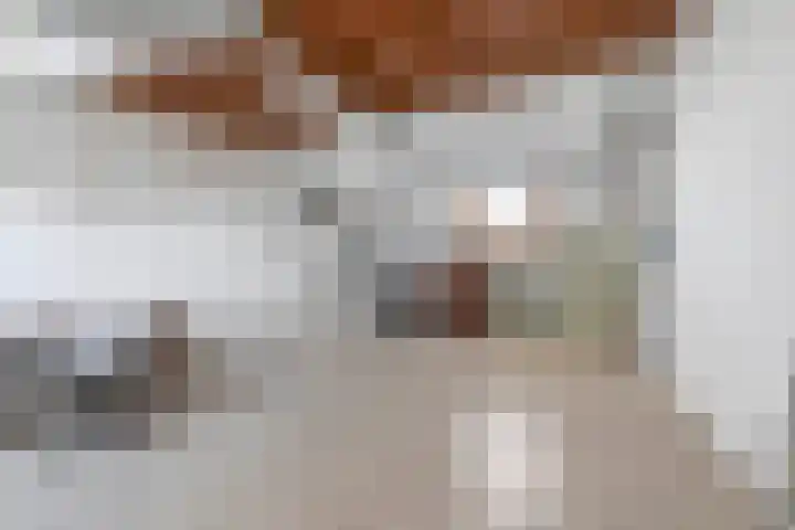 Ardennen 29 Utrecht thumbnail 41