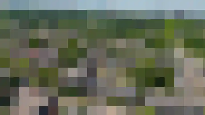 Ardennen 29 Utrecht thumbnail 44
