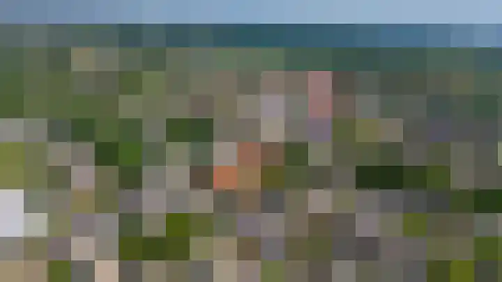 Ardennen 29 Utrecht thumbnail 50