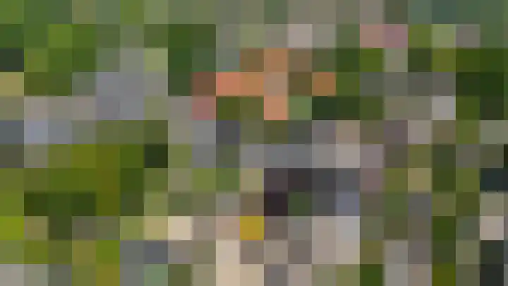 Ardennen 29 Utrecht thumbnail 51