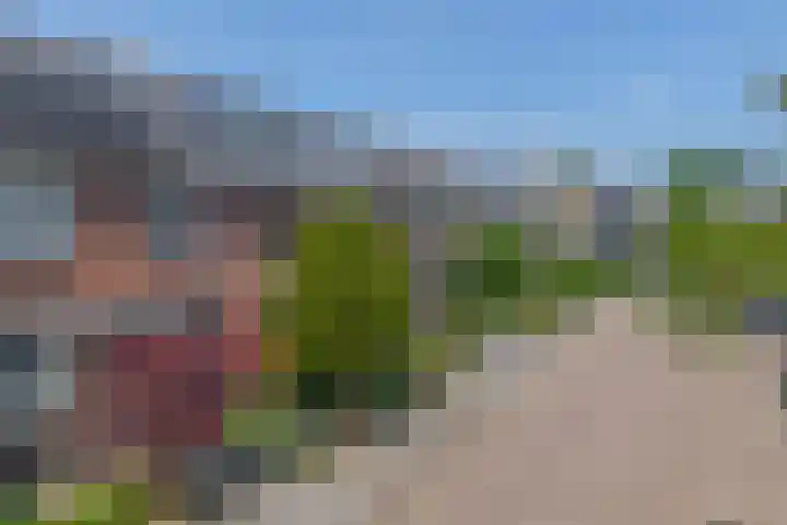 Ardennen 29 Utrecht thumbnail 8
