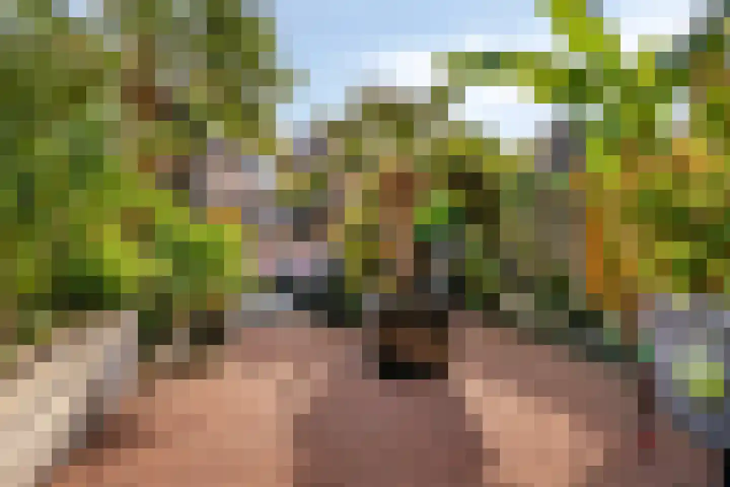 Ardennen 34 Helmond thumbnail 26
