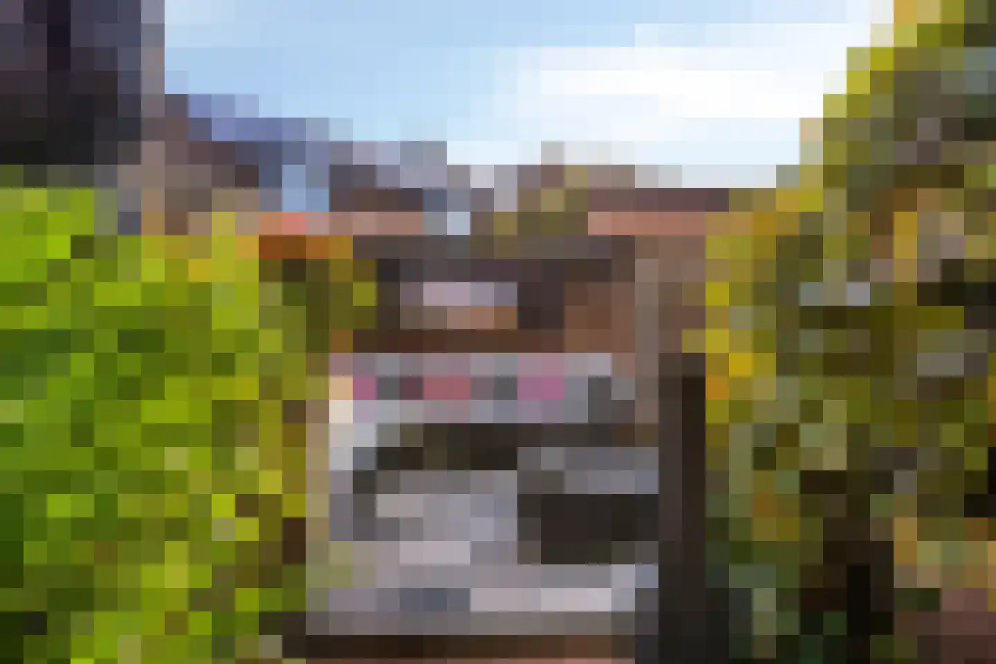 Ardennen 34 Helmond thumbnail 31
