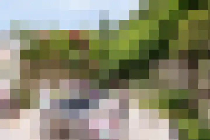 Ardennen 38 Leusden thumbnail 10