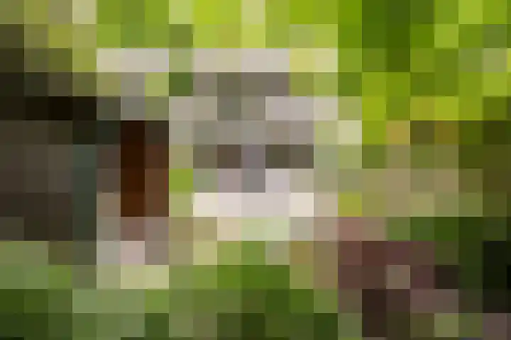 Ardennen 38 Leusden thumbnail 11
