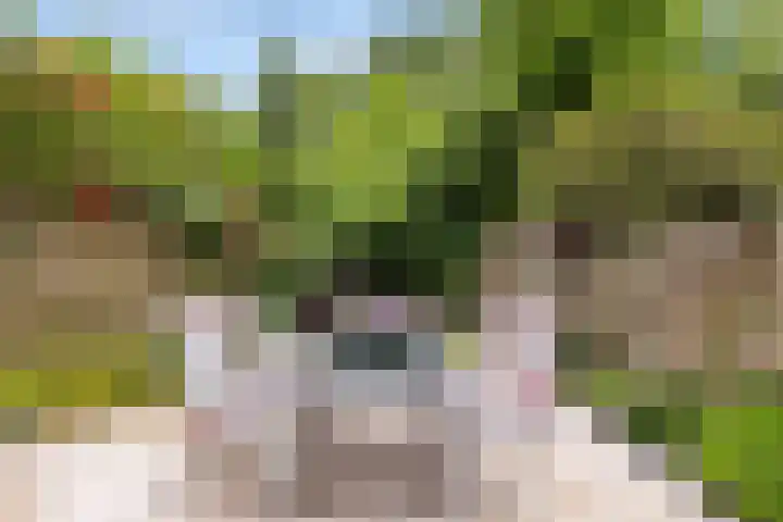 Ardennen 38 Leusden thumbnail 12
