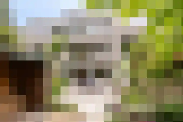 Ardennen 38 Leusden thumbnail 13