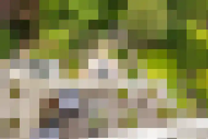 Ardennen 38 Leusden thumbnail 20