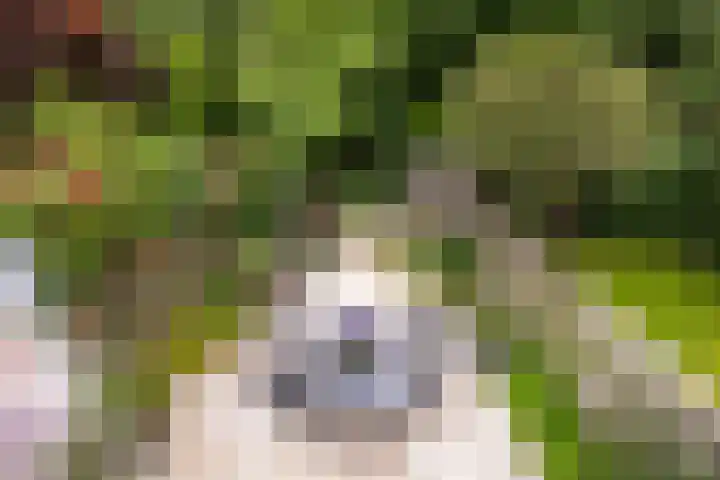 Ardennen 38 Leusden thumbnail 21