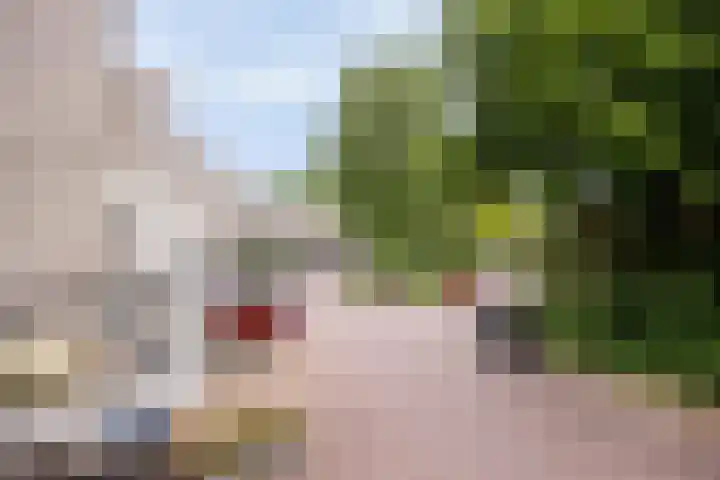 Ardennen 38 Leusden thumbnail 27