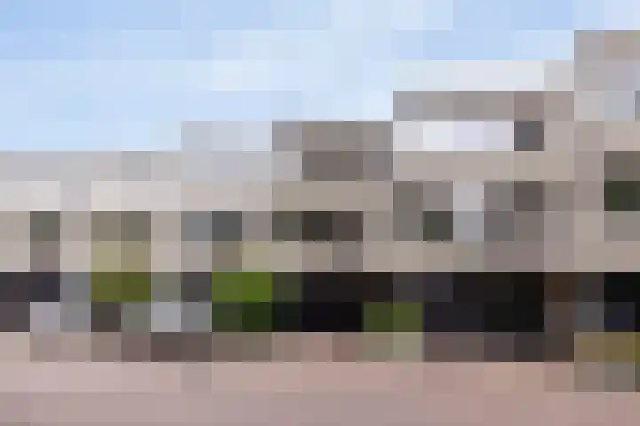 Ardennen 38 Leusden thumbnail 41