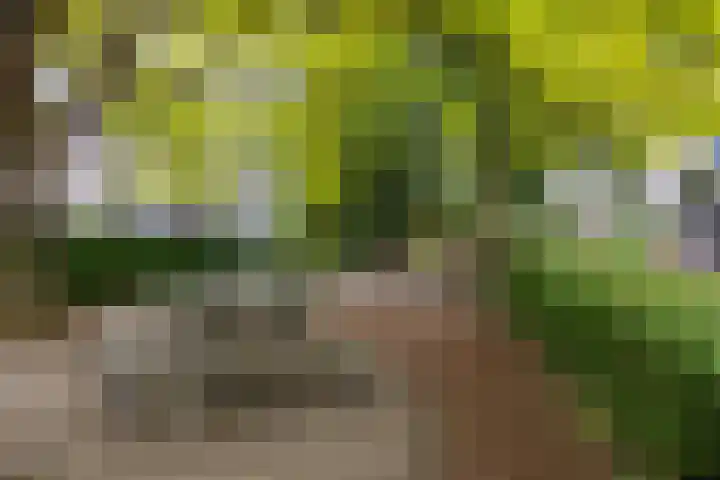 Ardennen 38 Leusden thumbnail 44