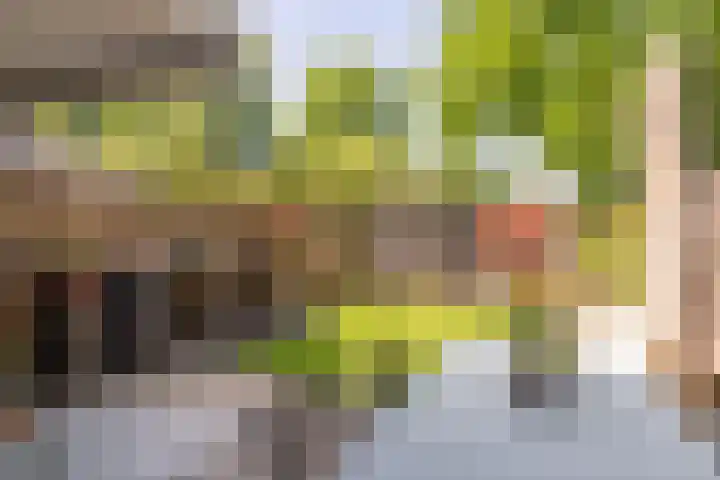Ardennen 4 Leusden thumbnail 15